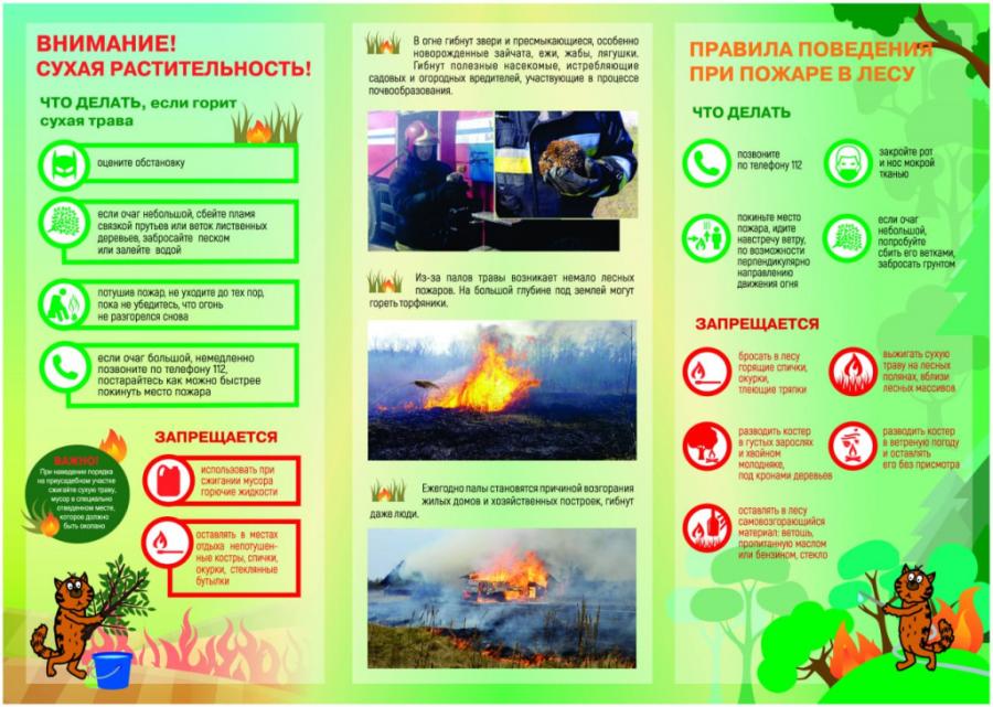 Как не допустить загорания сухой растительности